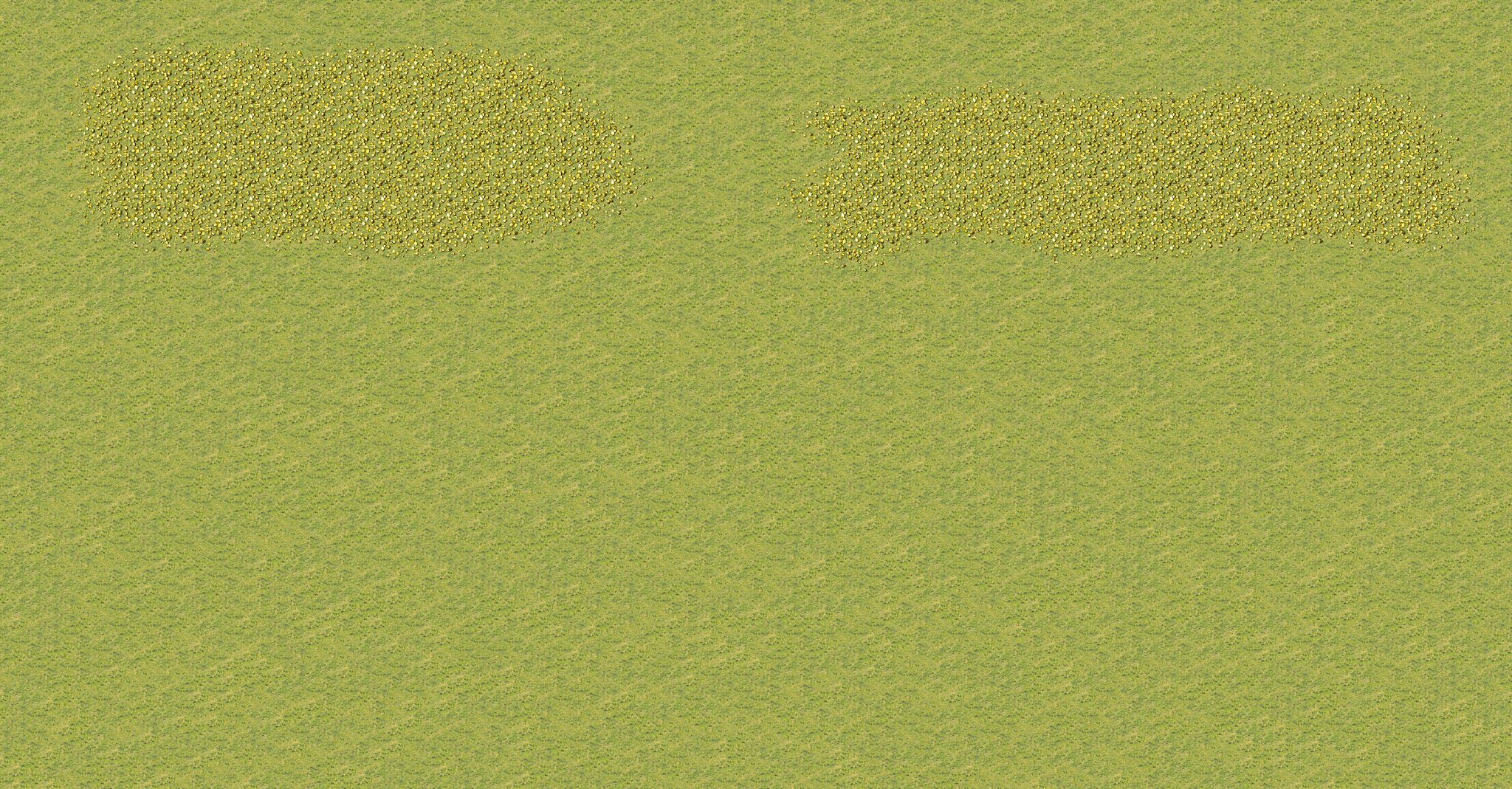 Test Map full-resolution render