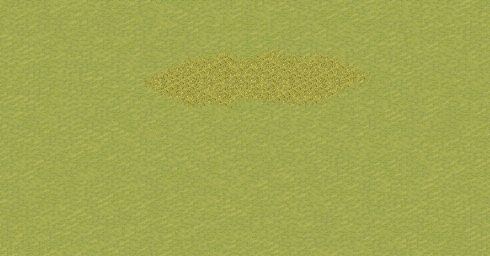 Test Map full-resolution render