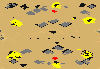 w50 preview