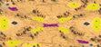 2-Player Desert Skirmish full-resolution render