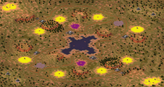 2-Player Temperate Skirmish full-resolution render