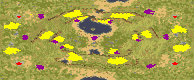 (4) Amazonas Theta full-resolution render
