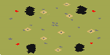 Jungle preview