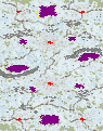 (6) Six-Assist full-resolution render