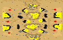 TOE area 3,4 Xpanded full-resolution render