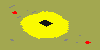 test preview