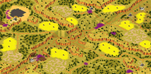 4-Player Temperate Skirmish full-resolution render