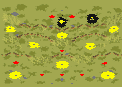 najmap preview