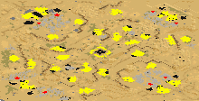 Mongolia preview