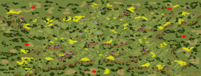 5-Player Temperate Large Map full-resolution render