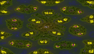Gatoraids (6) full-resolution render