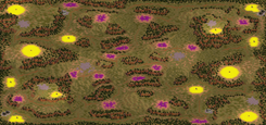 6-Player Temperate Skirmish full-resolution render