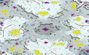 Coldest Peak (2-4) CnCNetWC full-resolution render
