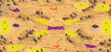 2-Player Desert Skirmish full-resolution render
