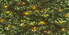 No Man's Land (6) full-resolution render