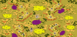 6-Player Temperate Skirmish full-resolution render
