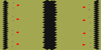 55555 full-resolution render