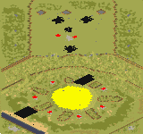 8-Player Temperate Large Map full-resolution render
