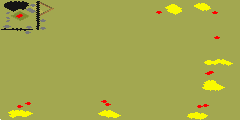 Temperate Contention full-resolution render