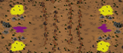 2-Player Desert Skirmish full-resolution render