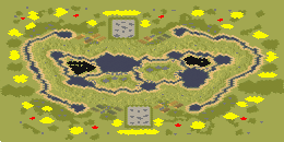 8-Player Temperate Large Map full-resolution render