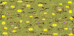 Alaskan Outback_speed_Map (2) full-resolution render