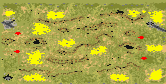 4-Player Temperate Skirmish full-resolution render