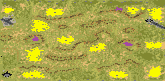 4-Player Temperate Skirmish full-resolution render