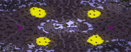 Throbbing Pain (2) full-resolution render
