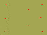8-Player Temperate Large Map full-resolution render
