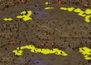 2-Player Desert Skirmish full-resolution render