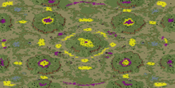 Temperate Resource Clash full-resolution render