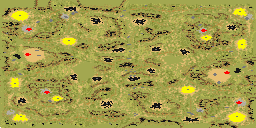 6-Player Temperate Skirmish full-resolution render