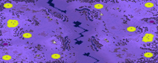 6-Player Snow Skirmish full-resolution render