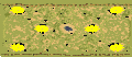 Dune Patrol remake RA2 mrk65 edit [4] full-resolution render
