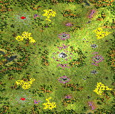 2-Player Temperate Large Map full-resolution render