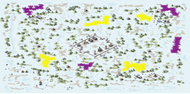 2-Player Snow Skirmish full-resolution render