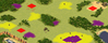 3-Player Temperate Skirmish full-resolution render