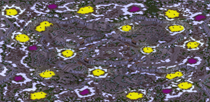 Heck Melts (8) full-resolution render