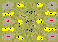 6-Player Temperate Skirmish full-resolution render