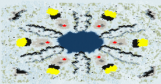 (6)¶³½á full-resolution render