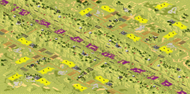8-Player Temperate Skirmish full-resolution render