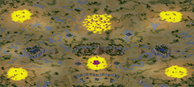 Pharaoh's Rift (4) full-resolution render