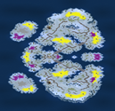 4-Player Snow Large Map full-resolution render