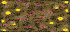 6-Player Temperate Skirmish full-resolution render
