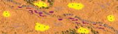 Practice Yellow (4) full-resolution render