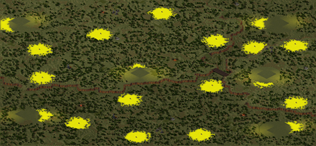 6-Player Temperate Large Map full-resolution render