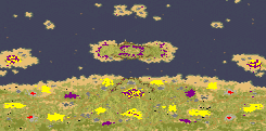 (4) Face the Ocean Frog full-resolution render