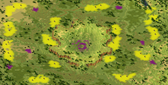 6-Player Temperate Skirmish full-resolution render