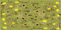 6-Player Temperate Skirmish full-resolution render